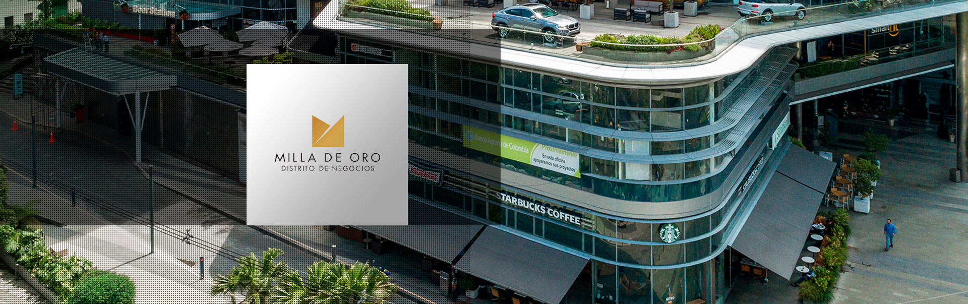 banner-milla-de-oro-pgs