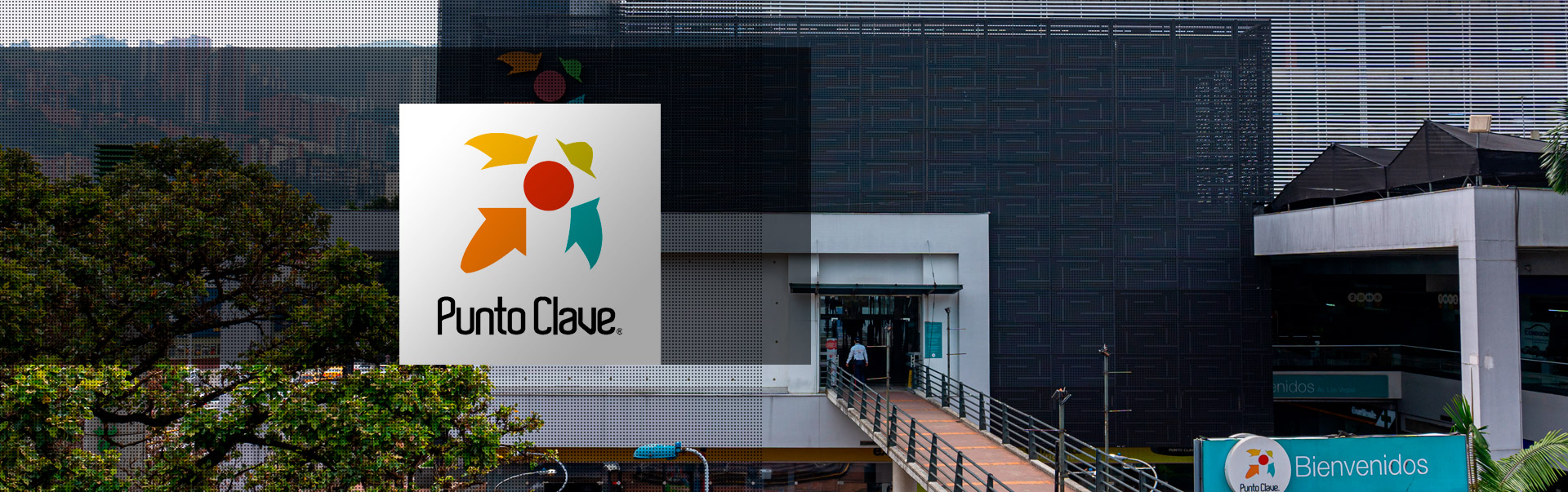 banner-punto-clave-pgs