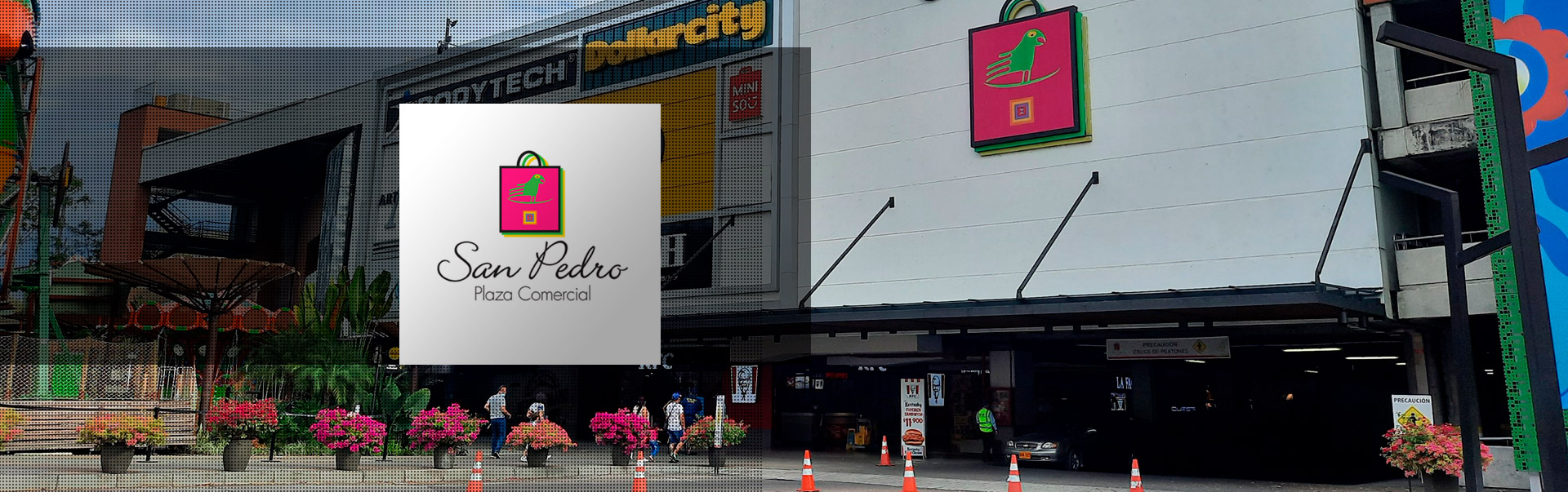 banner-san-pedro-pgs